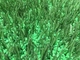 Zastosowane wypełnienie gumowe wysokiej stabilności trawnika do sztucznej trawy