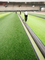 PE Pianka Rugby Field Trawnika Podkładki uderzeniowe Sztuczna trawa Podkład podwójny Strzewny